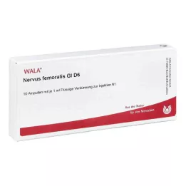NERVUS FEMORALIS GL D 6 ampulas, 10X1 ml