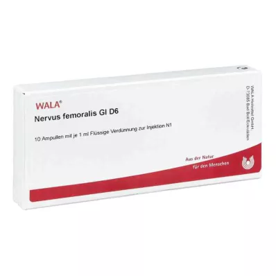 NERVUS FEMORALIS GL D 6 ampulas, 10X1 ml