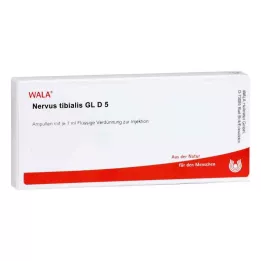 NERVUS TIBIALIS GL D 5 ampulas, 10X1 ml