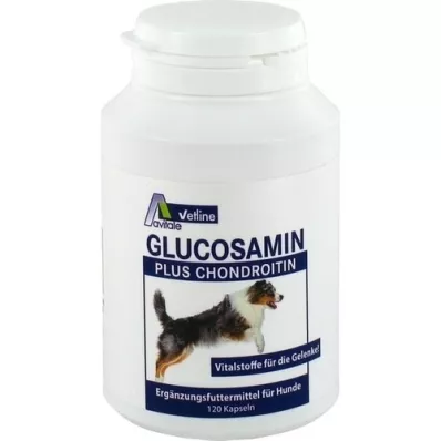 GLUCOSAMIN+CHONDROITIN Kapsulas suņiem, 120 gab