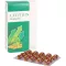 LECITHIN KAPSELN biolog.alsitan, 60 gab