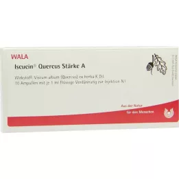 ISCUCIN Kverku cietes A ampulas, 10X1 ml