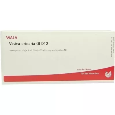 VESICA URINARIA GL D 12 ampulas, 10X1 ml