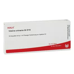 VESICA URINARIA GL D 15 ampulas, 10X1 ml