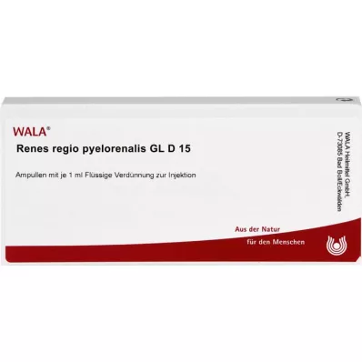 RENES REGIO pyelorenalis GL D 15 ampulas, 10X1 ml