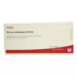 NERVUS ISCHIADICUS GL D 10 ampulas, 10X1 ml
