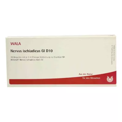 NERVUS ISCHIADICUS GL D 10 ampulas, 10X1 ml NERVUS ISCHIADICUS GL D 10 ampulas, 10X1 ml