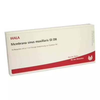 MEMBRANA sinus maxillaris GL D 8 ampulas, 10X1 ml