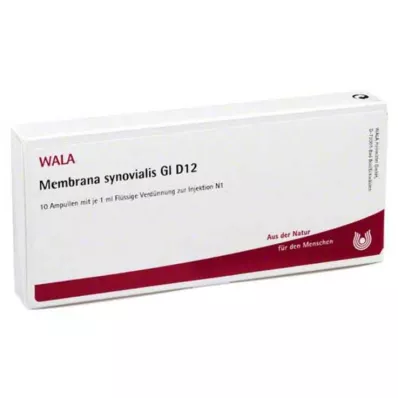 MEMBRANA Synovialis GL D 12 ampulas, 10X1 ml