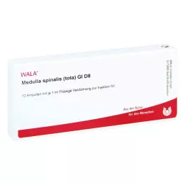 MEDULLA SPINALIS tota GL D 8 ampulas, 10X1 ml
