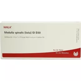 MEDULLA SPINALIS tota GL D 30 ampulas, 10X1 ml