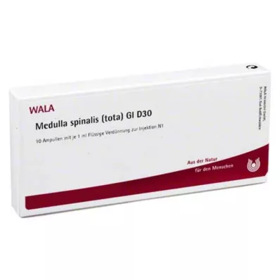 MEDULLA SPINALIS tota GL D 30 ampulas, 10X1 ml MEDULLA SPINALIS tota GL D 30 ampulas, 10X1 ml