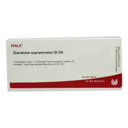 GLANDULAE SUPRARENALES GL D 5 ampulas, 10X1 ml