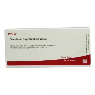 GLANDULAE SUPRARENALES GL D 5 ampulas, 10X1 ml