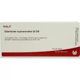 GLANDULAE SUPRARENALES GL D 8 ampulas, 10X1 ml