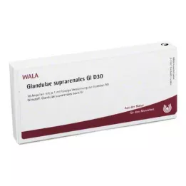 GLANDULAE SUPRARENALES GL D 30 ampulas, 10X1 ml