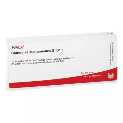 GLANDULAE SUPRARENALES GL D 10 ampulas, 10X1 ml GLANDULAE SUPRARENALES GL D 10 ampulas, 10X1 ml
