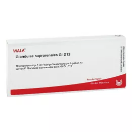 GLANDULAE SUPRARENALES GL D 12 ampulas, 10X1 ml