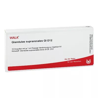 GLANDULAE SUPRARENALES GL D 12 ampulas, 10X1 ml