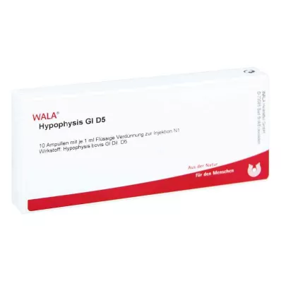 HYPOPHYSIS GL D 5 ampulas, 10X1 ml HYPOPHYSIS GL D 5 ampulas, 10X1 ml