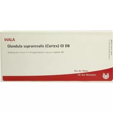 GLANDULA SUPRARENALIS kortex GL D 8 ampulas, 10X1 ml