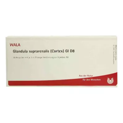 GLANDULA SUPRARENALIS kortex GL D 8 ampulas, 10X1 ml GLANDULA SUPRARENALIS kortex GL D 8 ampulas, 10X1 ml