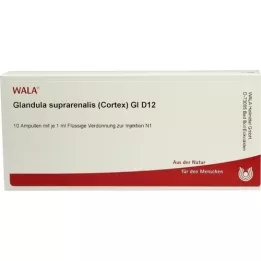 GLANDULA SUPRARENALES kortex GL D 12 ampulas, 10X1 ml