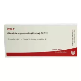 GLANDULA SUPRARENALES kortex GL D 12 ampulas, 10X1 ml