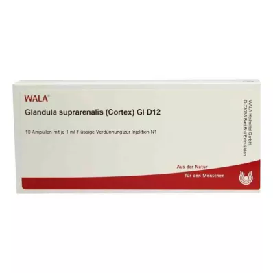 GLANDULA SUPRARENALES kortex GL D 12 ampulas, 10X1 ml GLANDULA SUPRARENALES kortex GL D 12 ampulas, 10X1 ml