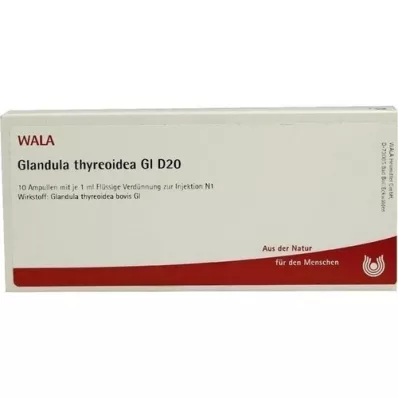 GLANDULA THYREOIDEA GL D 20 ampulas, 10X1 ml