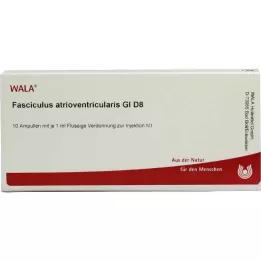 FASCICULUS atrioventricularis GL D 8 ampulas, 10X1 ml