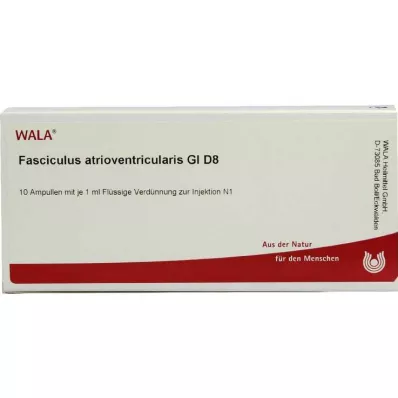 FASCICULUS atrioventricularis GL D 8 ampulas, 10X1 ml FASCICULUS atrioventricularis GL D 8 ampulas, 10X1 ml