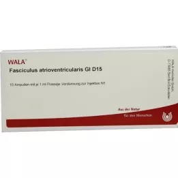 FASCICULUS atrioventricularis GL D 15 ampulas, 10X1 ml