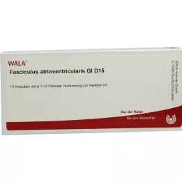 FASCICULUS atrioventricularis GL D 15 ampulas, 10X1 ml