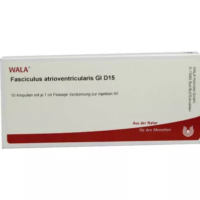 FASCICULUS atrioventricularis GL D 15 ampulas, 10X1 ml