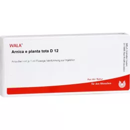 ARNICA E Planta tota D 12 ampulas, 10X1 ml