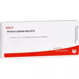 ARNICA E Planta tota D 12 ampulas, 10X1 ml