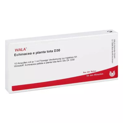 ECHINACEA E planta tota D 30 ampulas, 10X1 ml ECHINACEA E planta tota D 30 ampulas, 10X1 ml