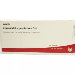 VISCUM MALI e planta tota D 10 ampulas, 10X1 ml