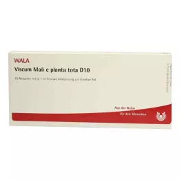 VISCUM MALI e planta tota D 10 ampulas, 10X1 ml