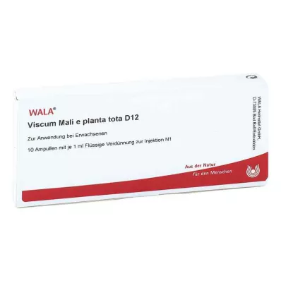 VISCUM MALI e planta tota D 12 ampulas, 10X1 ml