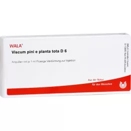 VISCUM PINI e planta tota D 6 ampulas, 10X1 ml