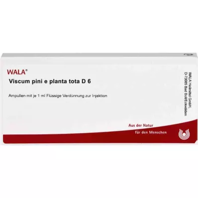 VISCUM PINI e planta tota D 6 ampulas, 10X1 ml