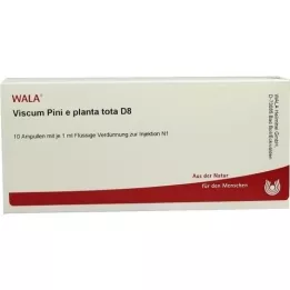 VISCUM PINI e planta tota D 8 ampulas, 10X1 ml