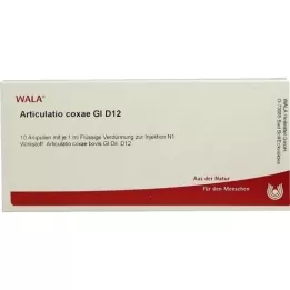 ARTICULATIO coxae GL D 12 ampulas, 10X1 ml