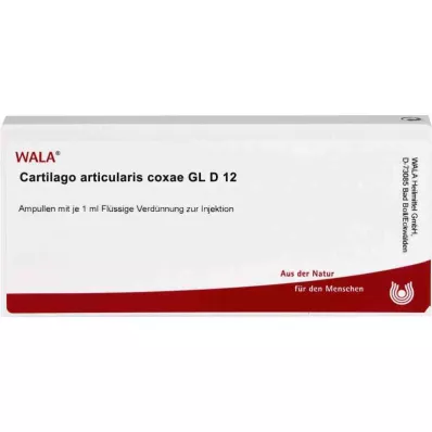 CARTILAGO articularis coxae GL D 12 ampulas, 10X1 ml CARTILAGO articularis coxae GL D 12 ampulas, 10X1 ml
