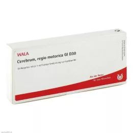 CEREBRUM REGIO motorica GL D 30 ampulas, 10X1 ml