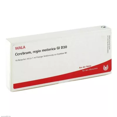 CEREBRUM REGIO motorica GL D 30 ampulas, 10X1 ml CEREBRUM REGIO motorica GL D 30 ampulas, 10X1 ml