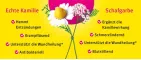 Instructions for use for Kamillan® šķidrums, 200 ml - 2