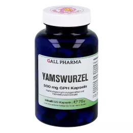 YAMSWURZEL 500 mg GPH kapsulas, 120 kapsulas